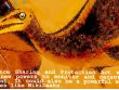 definition_of_graphic_design_(17).jpg