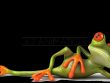 graphic_design_and_animation_(18).jpeg