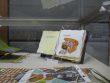 graphic_design_books_(11).jpeg