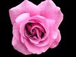 graphic_design_companies_south_africa_(9).jpeg